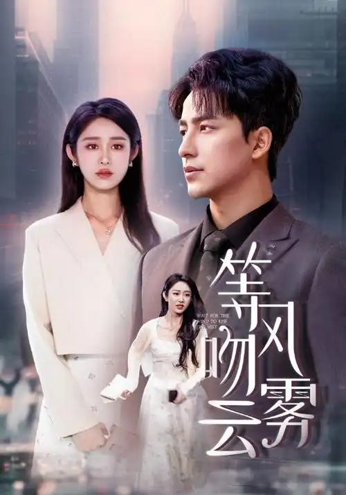 雾港谜踪热播电视剧全集高清剧照